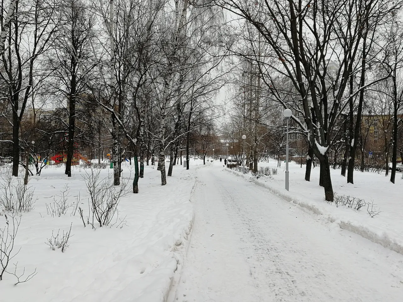 IMG_20190108_140510.jpg
