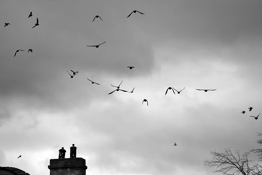 Kt_Skies_ph011_s_BW.jpg