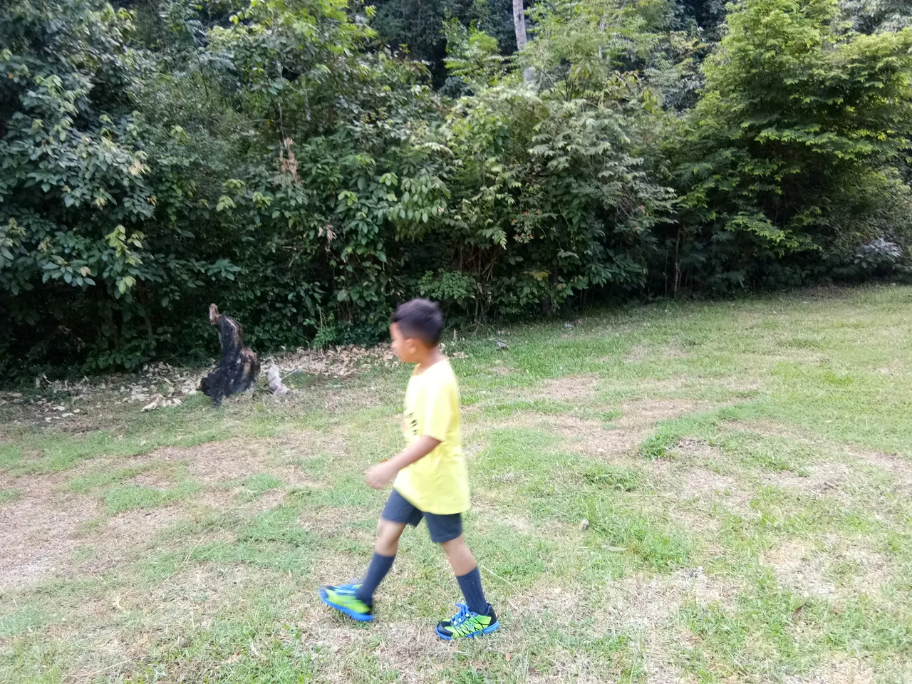 IMG_20180715_080934.jpg