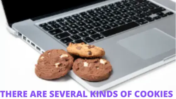 THERE ARE SEVERAL KINDS OF BROWSER COOKIES