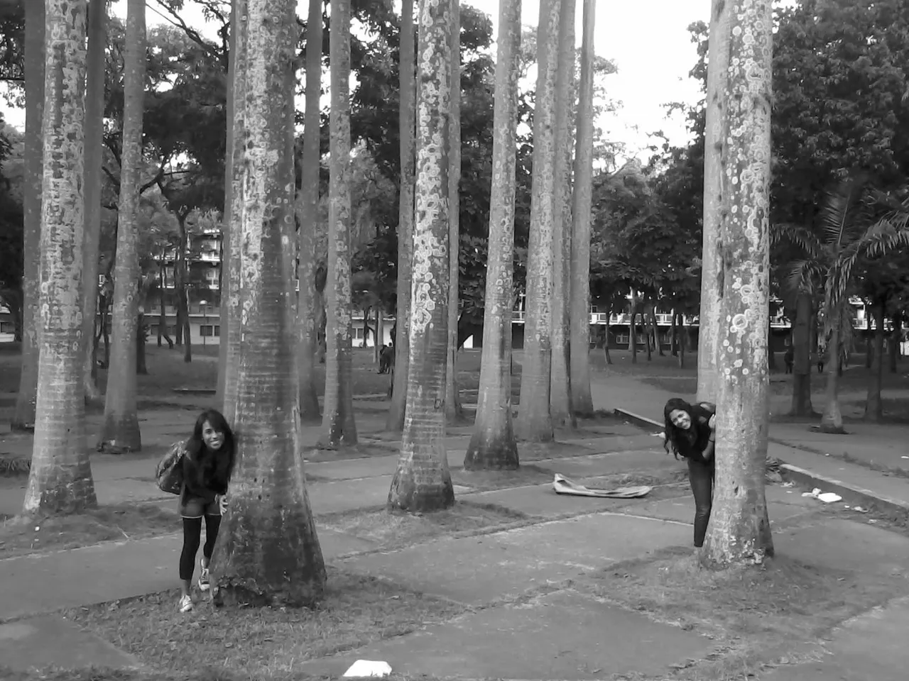 1404656_10152096267763523_1933661832_o.jpg