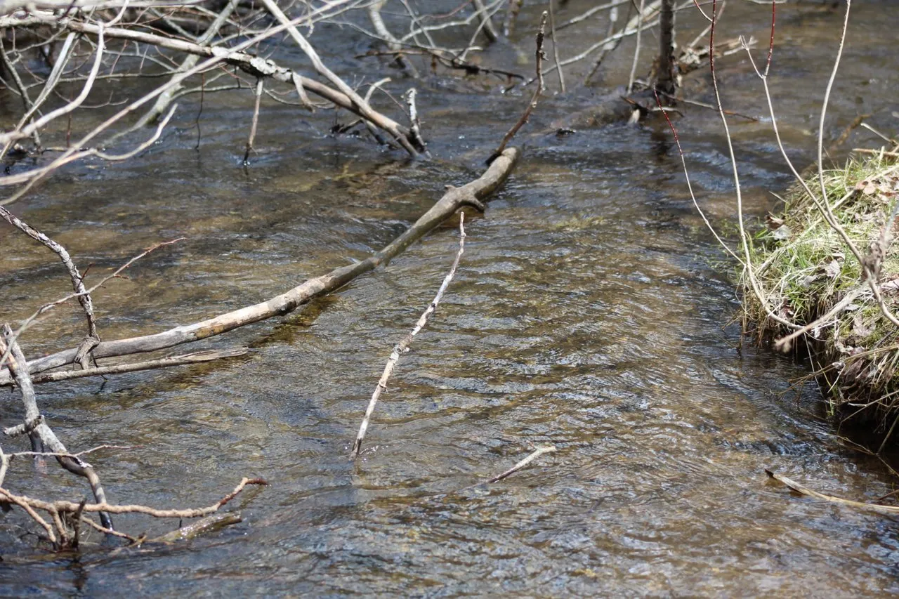 D353889C6911466F9916009EC2169979.jpeg