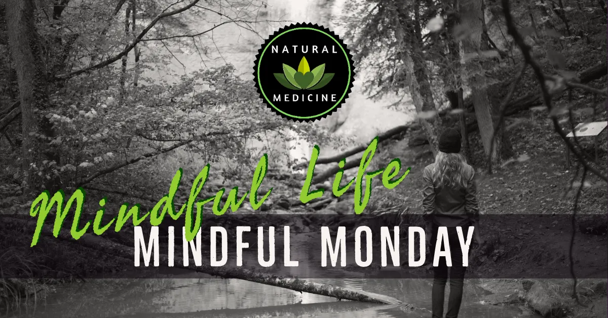 Mindful Life Monday banner.png