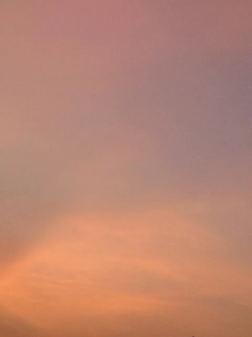 img_20220214_185029_264.jpg