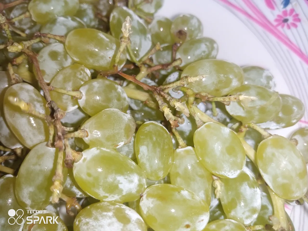 10 Awesome Benefits of eating grapes 🍇 And Health