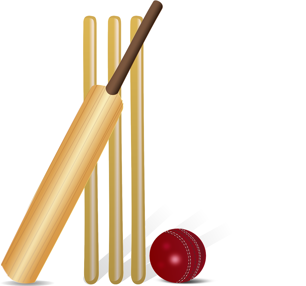 cricket_g11bf18083_1280.png