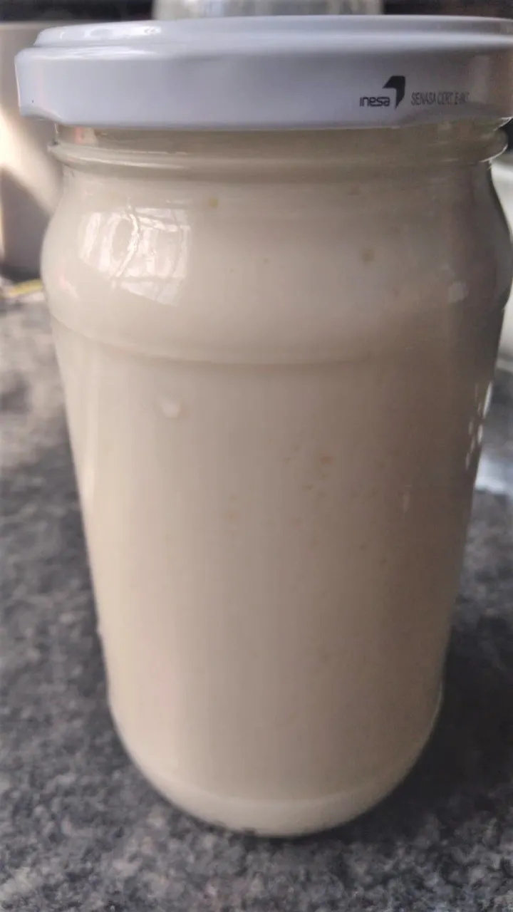yogurt_griefo_envasado.jpeg