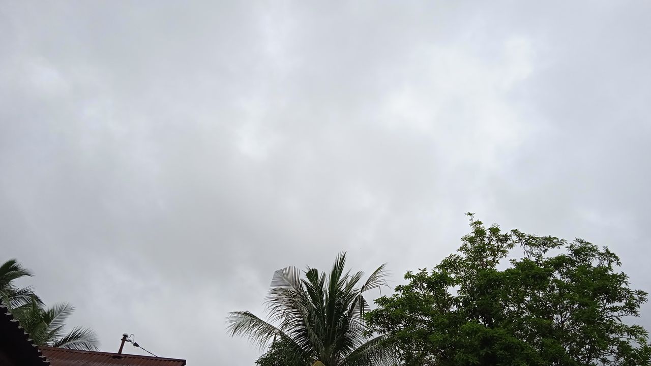 img_0.17711830539409815.jpg