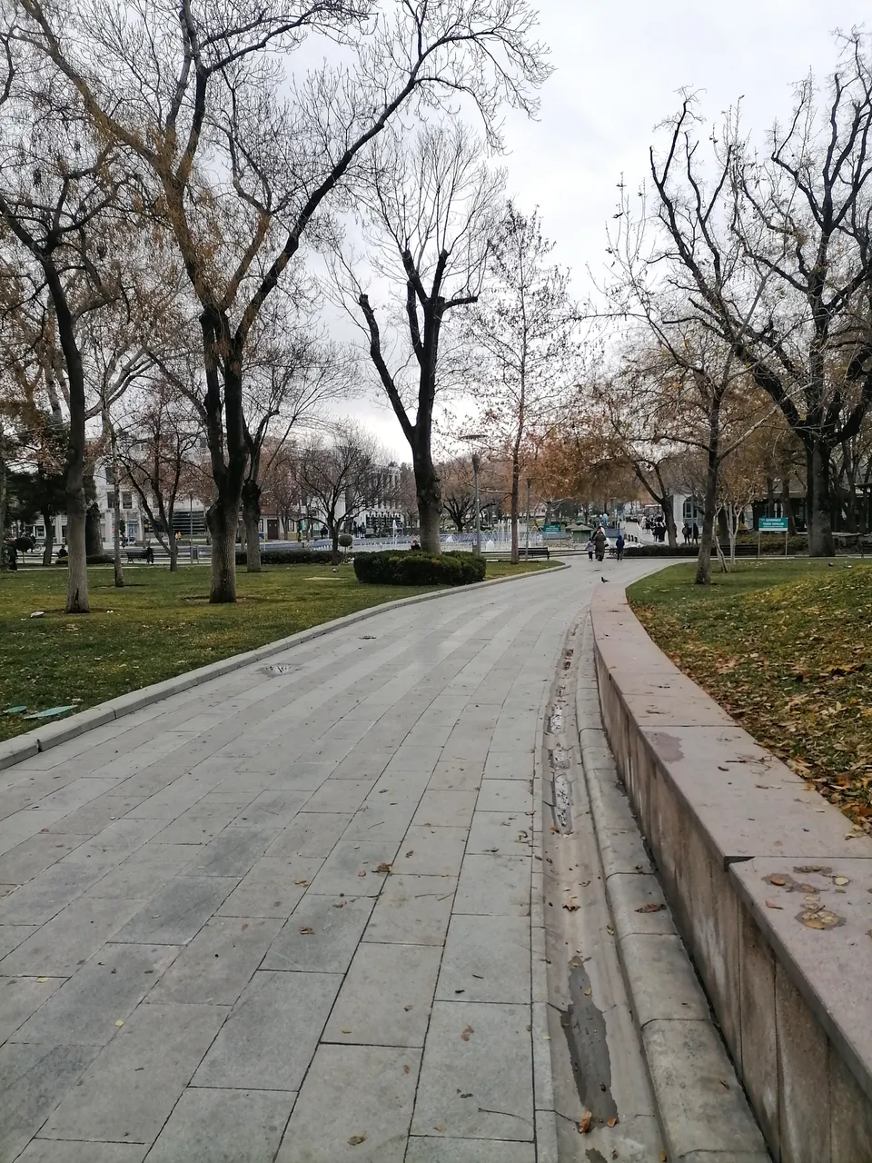 img_20211218_141840_01.jpeg