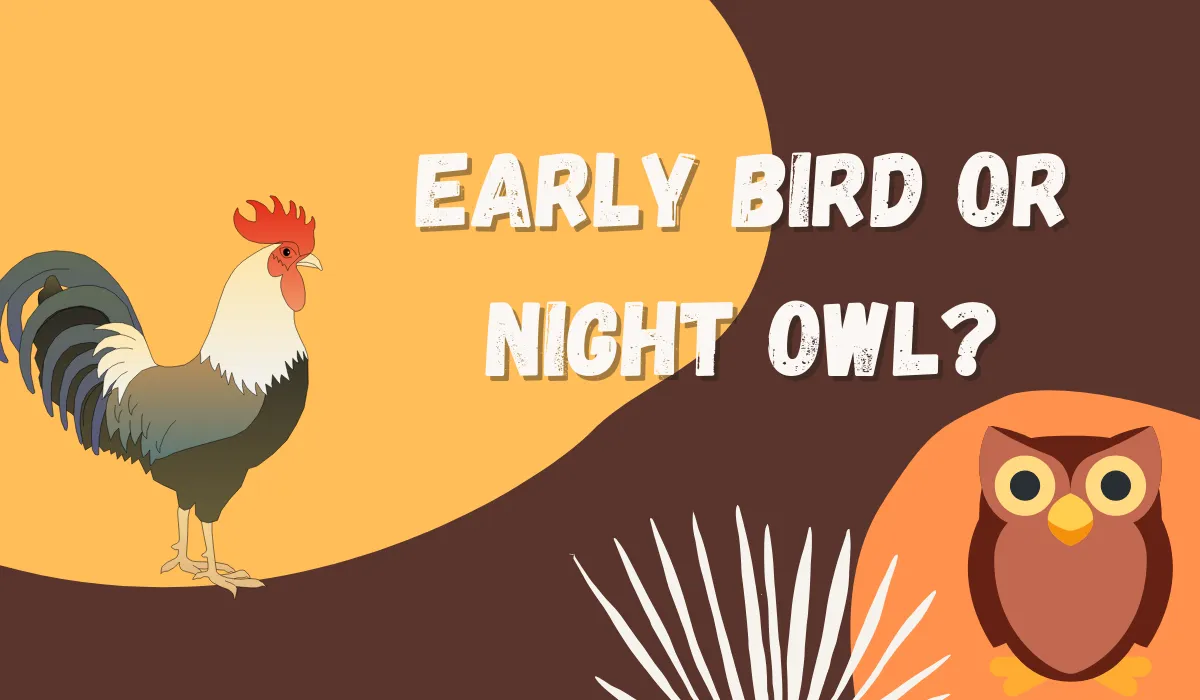 early_bird_or_night_owl.png