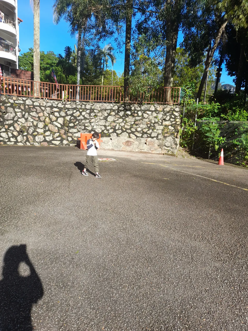 img_0.13527293287093267.jpg