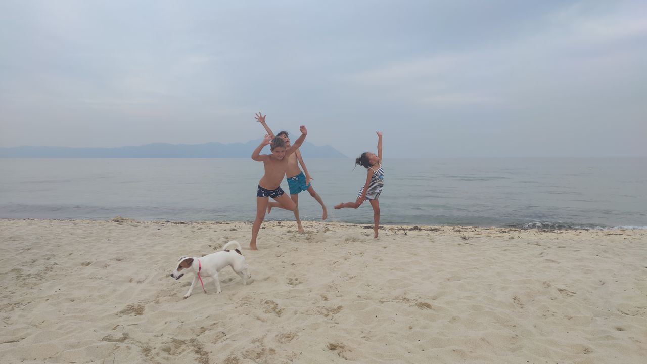 img_0.08561852007760153.jpg