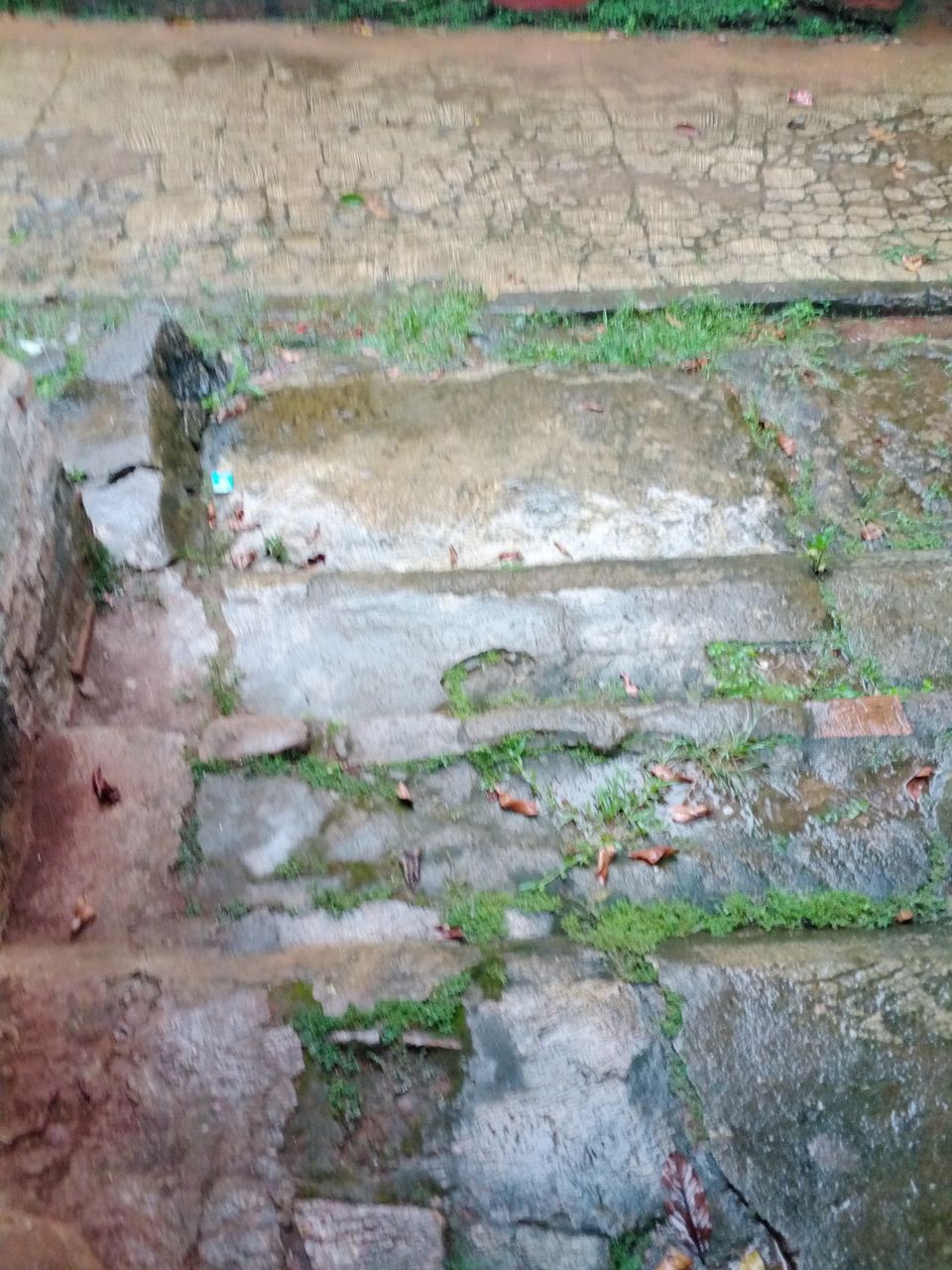 img_0.04941011522858677.jpg