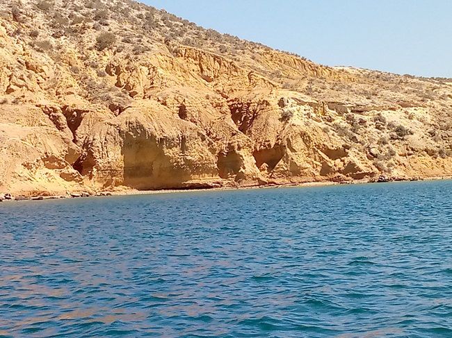 Phone Photography Contest - #100 | From the sea to the rocky shore