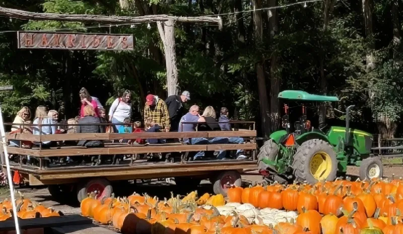 wednesdaywalk-hayride-2a.jpg