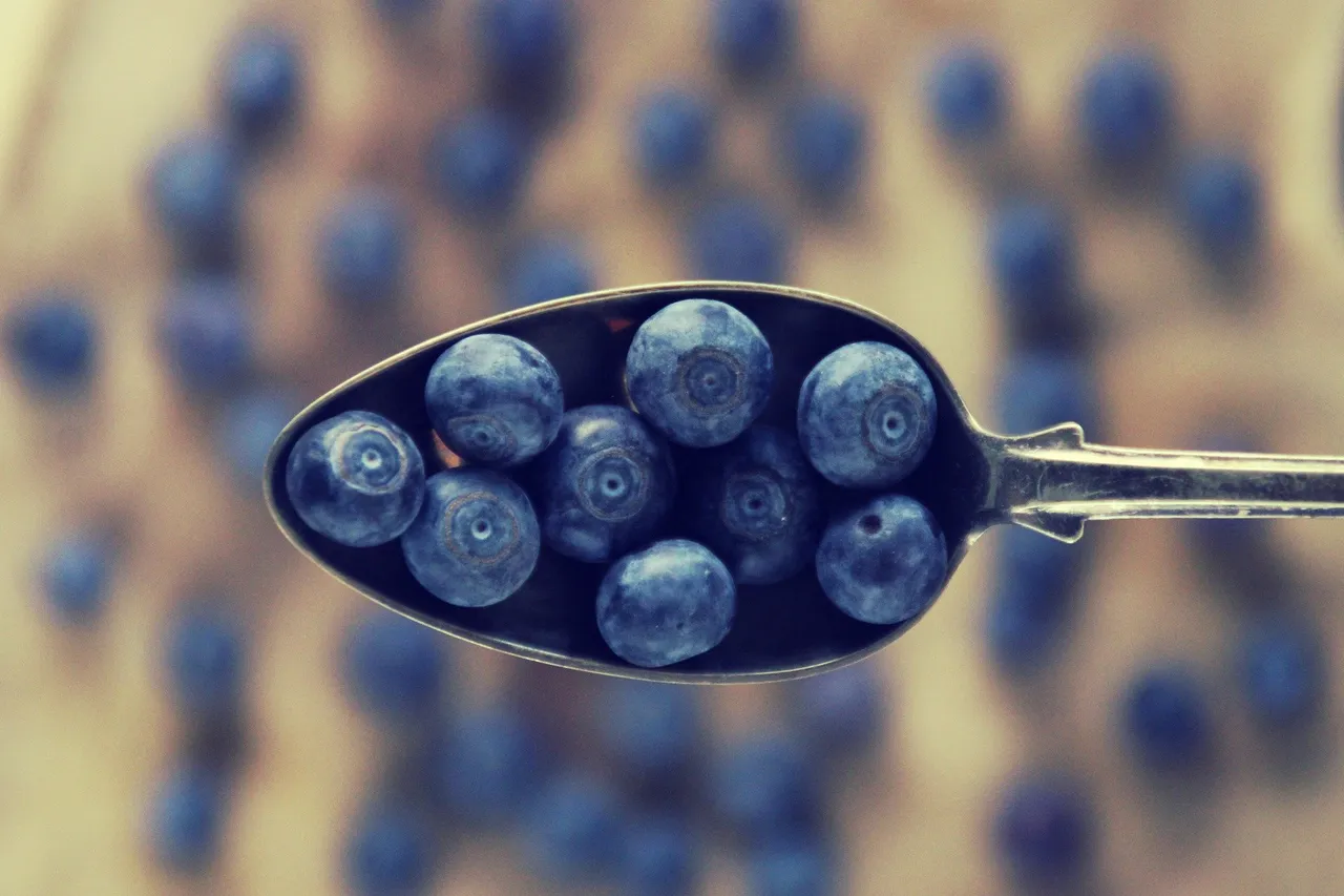 blueberries-4886896_1920.jpg