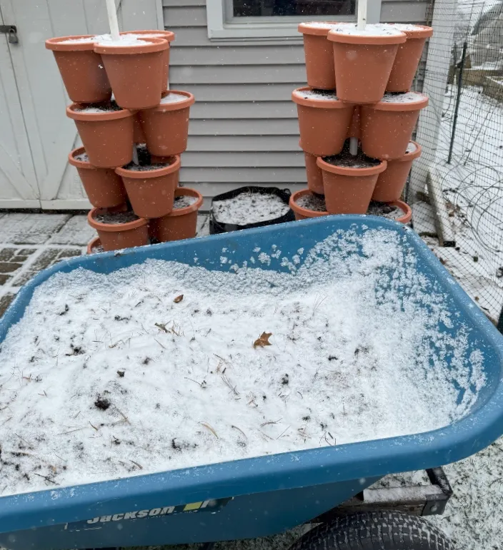 hivegarden-spring-towers.jpg
