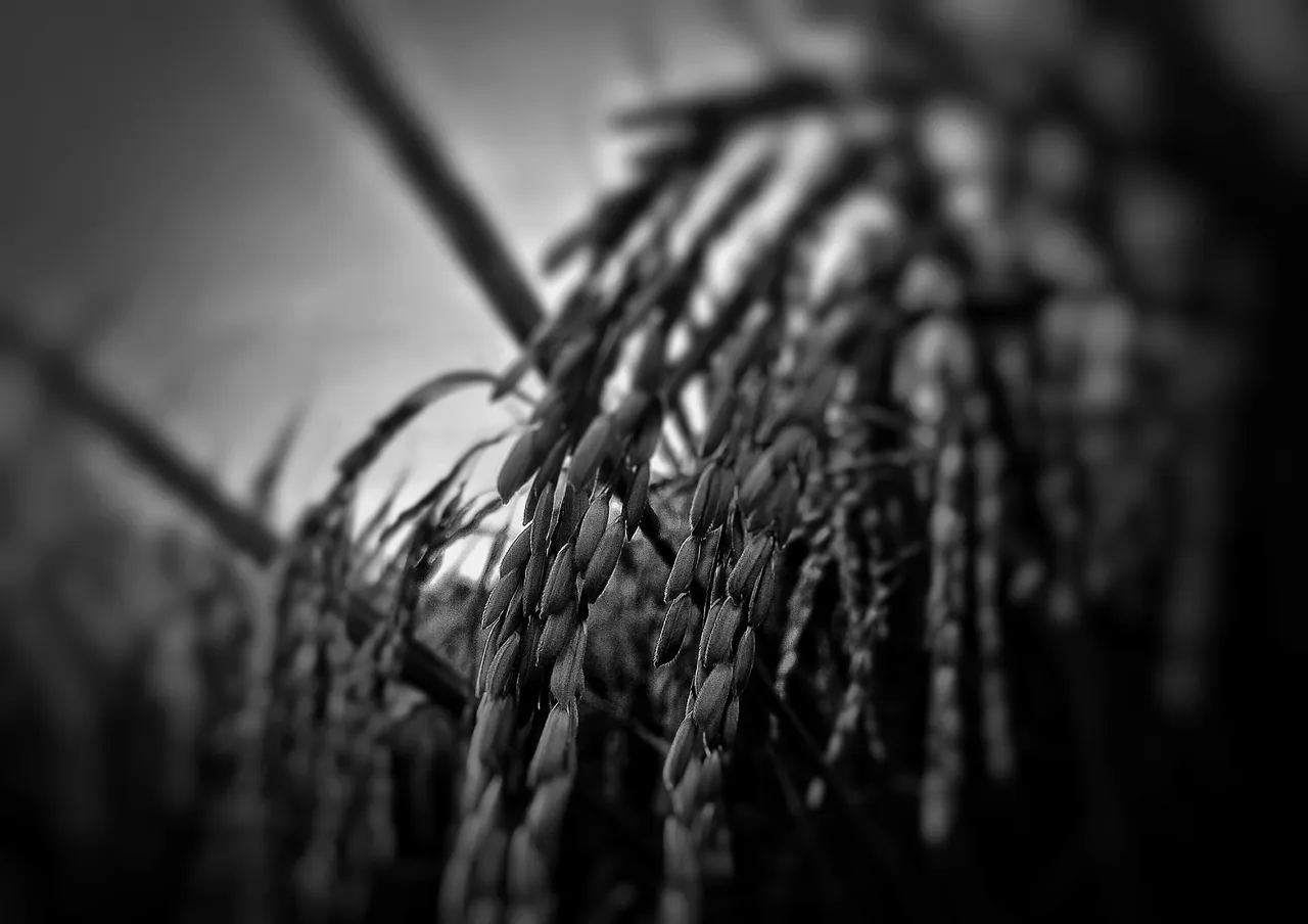 IMG20210214183544-01-01.jpeg