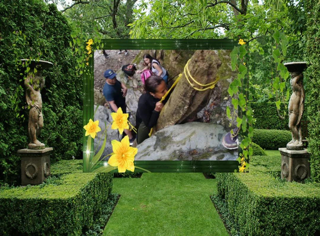 GardenPhoto1680537468944.png