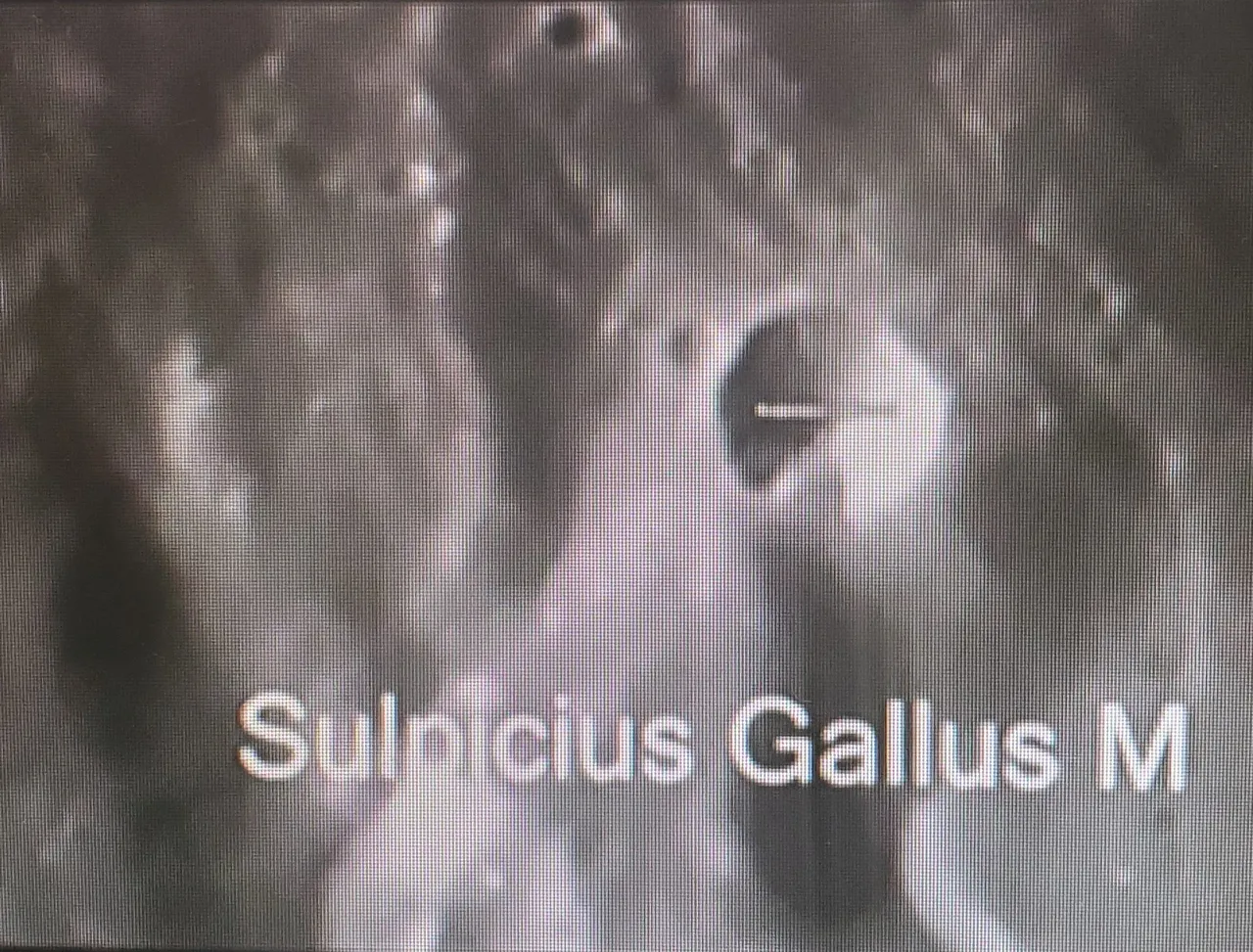 SulpiciusGallusManilius6.jpg