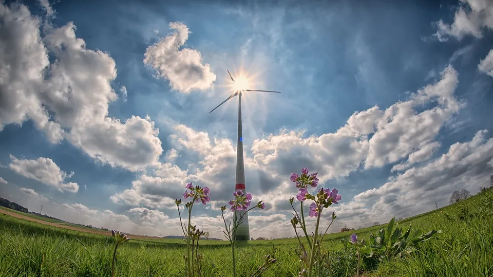 pinwheel-2222471_960_720.jpg