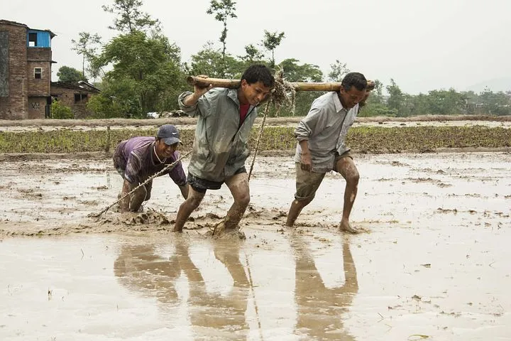 human-efforts-92262__480.jpg