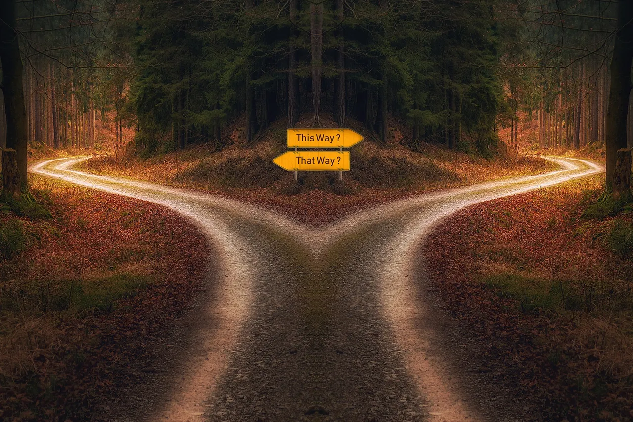 decision-g9f8fe65cb_1920.jpg