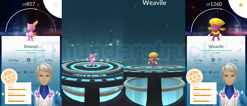 Shiny Sneasel Evolve.png