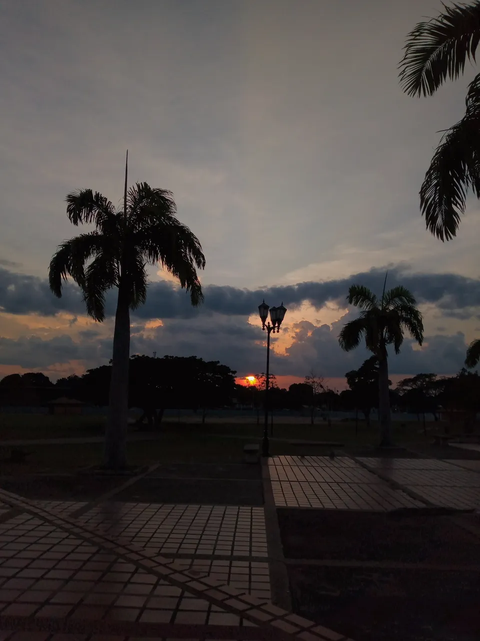 B612_20230824_181654_971.jpg