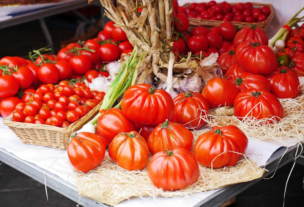 tomatoes-g00a5348c7_1920.jpg