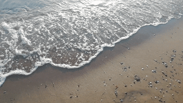 ezgif.com-optimize (1).gif