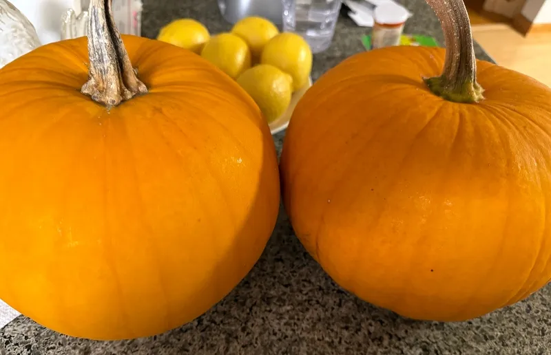 foodiesbeehive-pumpkin-1.jpg
