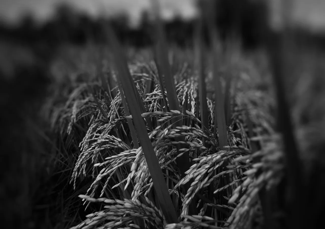 IMG20210209165548-02-01.jpeg