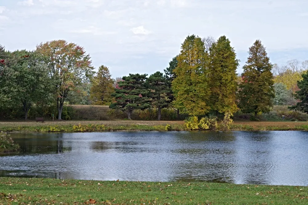 amazing-nature-fall-park.jpg