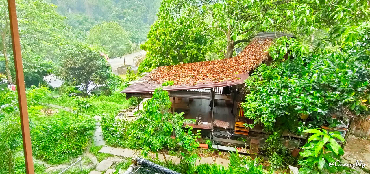 IMG20220618081817 copy.jpg