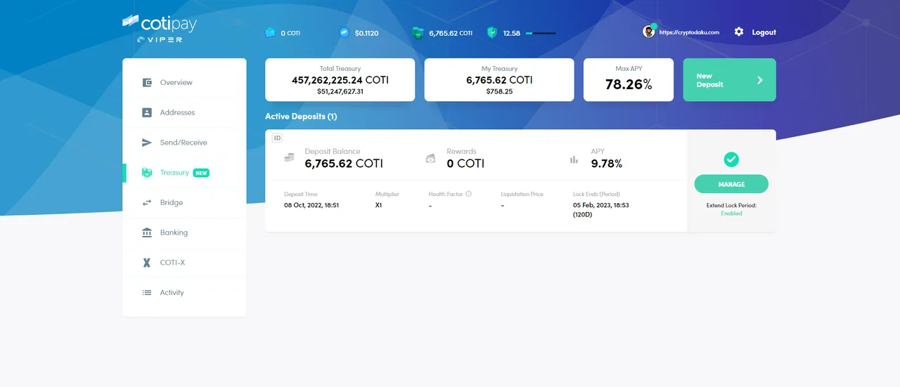 coti_treasure_management.png