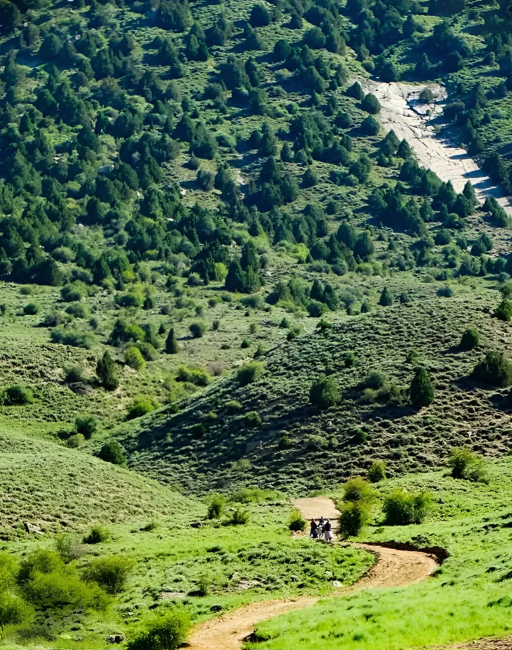 1754149653974_3wvg1a_2_0.jpg