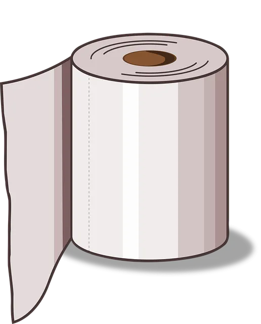 toilet-paper-4963556_640.png