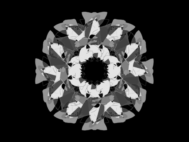 159452579778859138 (6).gif
