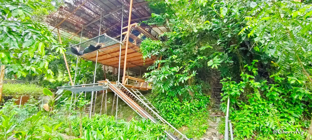 IMG20220618093653 copy.jpg