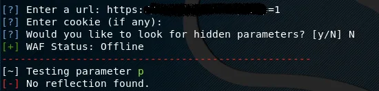 XSStrike scaning url with given paramter