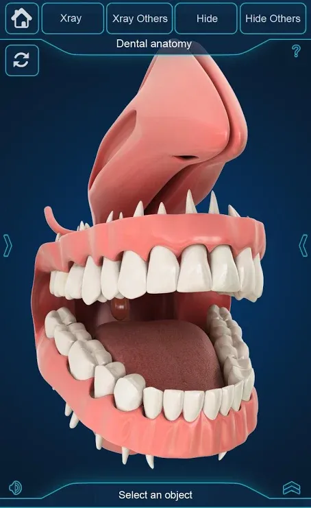 screenshot3.png