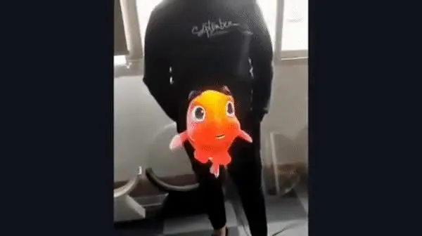 holoo.mp4