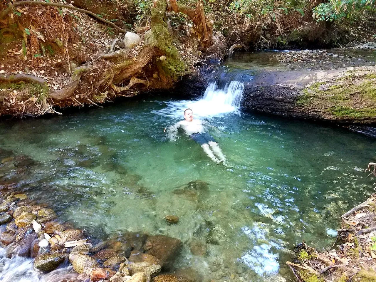 https://s3.us-east-2.amazonaws.com/partiko.io/img/happymoneyman-redwood-forest-pool-1531155082894.png