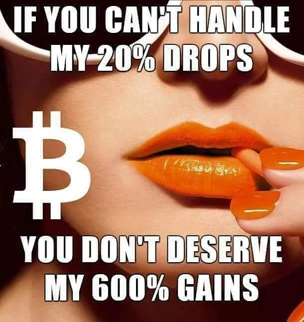 Bitcoin Drops and Gains