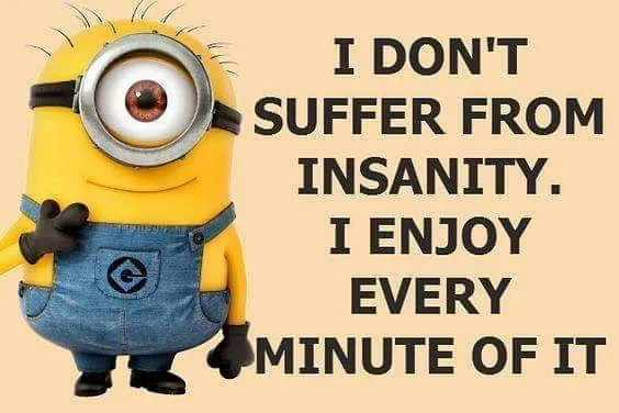 I don't suffer from insanity