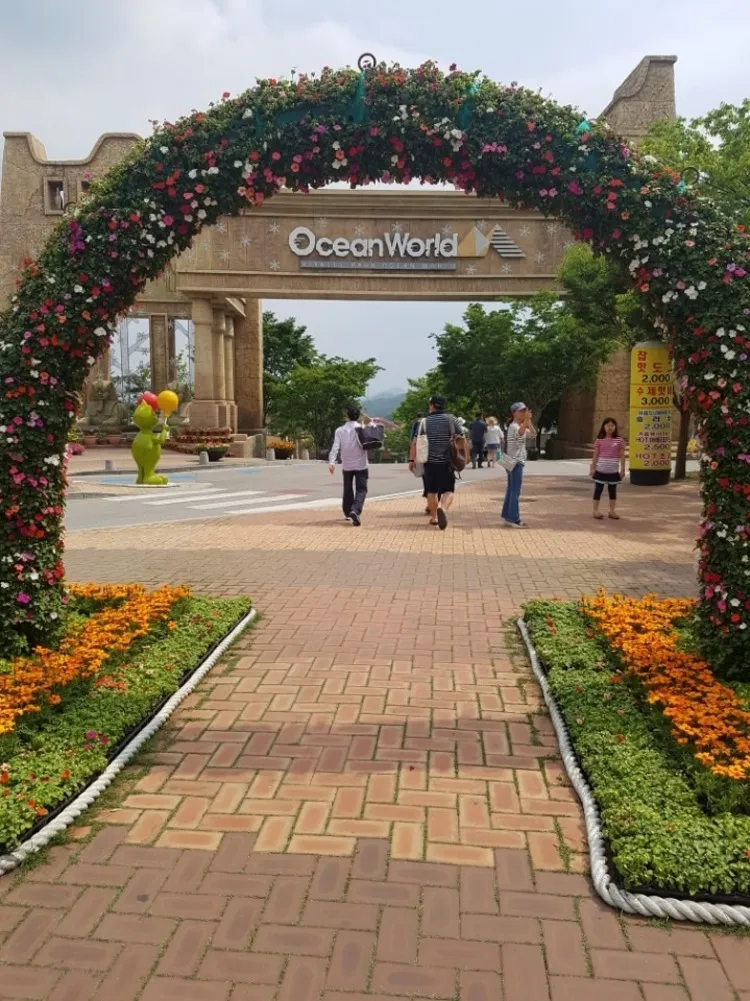 KakaoTalk_20180617_122453835.jpg