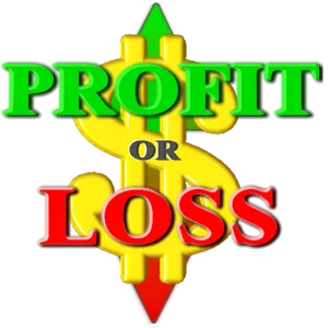 profit-and-loss-account.png