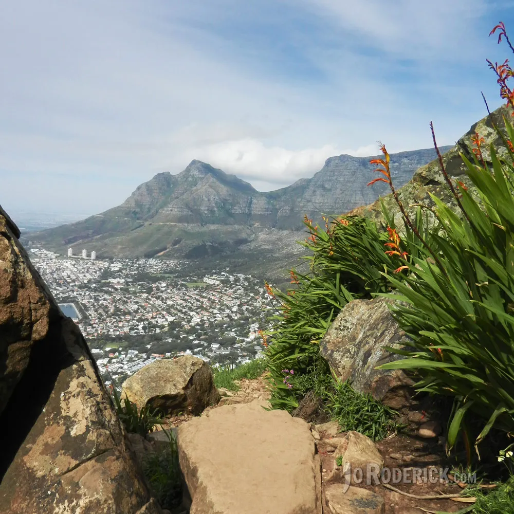 DevilsPeakFromLionsHead.jpg