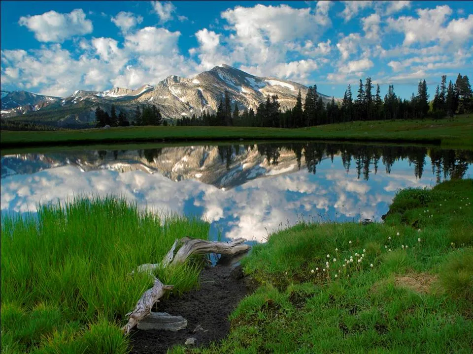 Mountain Lake Green.jpg